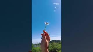 #万茜 神来之笔，大抵如此吧……