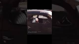 Самый лучший трек и флекс к нему! Собачки танцуют и несут бутылку, смотреть всем!