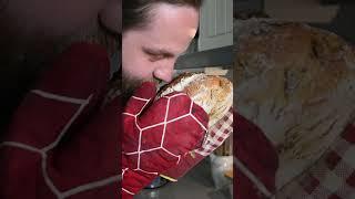 Sourdough Bread Baking! #sourdough #sourdoughbread