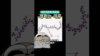 위고비가 개쩌는 이유
