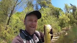 Epic Bass Fishing on the Willamette River in Salem Oregon... #bass #bassfishing #troutfishing