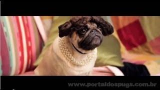 Sony Ericsson Xperia X8 - Comercial de TV - Propaganda com Pug