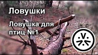  Ловушка для птиц №1