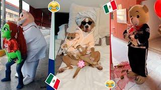 HUMOR VIRAL #137| SI TE RIES PIERDES. | HUMOR MEXICANO TikTok | VIRAL MEXICANO