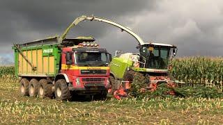 Maïs 2024 | Cerfontaine in de heuvels | 2x Terberg 8x8 met Joskin Drakkar | 2x Fendt 936 | VolvoL110