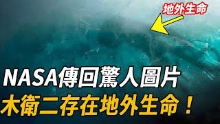 震驚科學界！ NASA探測器傳回驚人圖片，木衛二海洋中驚現巨型神秘生物，已證實是外星生物！| 腦補大轟炸