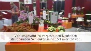 Die besten Topfpflanzen-Neuheiten auf der IPM 2016