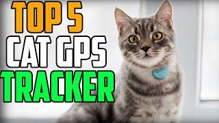 Gps Pet tracket Top 5 Best cat gps tracker 2020