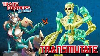 TRANSFORMERS: THE BASICS on TRANSMUTATE