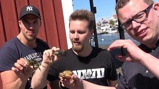 CHALLENGE | STÖRST KRABBA med figgehn & Acai