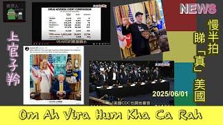 慢半拍 睇真美國 News (2025/06/01)#上官子羚 #Trump #Real News #maga #香港人#廣東話#Covid19#疫苗損害聽證會