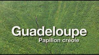 "Guadeloupe, papillon créole" un film de Pierre Brouwers