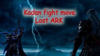 Lost ark Kadan fight video