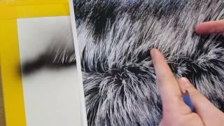 The Airbrush Academy Guide to Airbrushing Realistic Fur