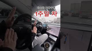 테슬라 탈때 반드시 필요한 스킬  #테슬라 #자율주행 #FSD