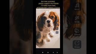 All Animal Cute And Funny Videos For Your Smile | #shorts #shortvideo #shortsviral #shortfeed (1)