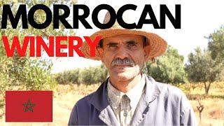 Visiting a FAMOUS Winery in Essaoria Morocco   (you MUST see this)