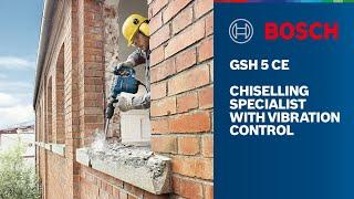 Bosch GSH 5 CE Professional Demolition Hammer With SDS Max