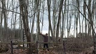 Rückhänger: Baum fällen mit seilwinde