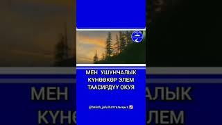 Жетимдерге жардам бергендин сообу аяабай тасирдуу окуя (устаз Бактыяр Дамылла)