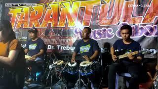 HABIS GELAP TERBITLAH TERANG - ISMAIL SADEWA COVER TARANTULA MUSIC