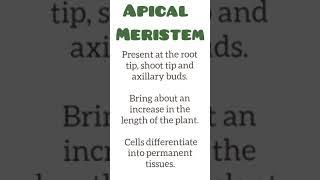 Apical Meristem| short notes |BRITTLEMEDIA #shorts #viral #viralshorts