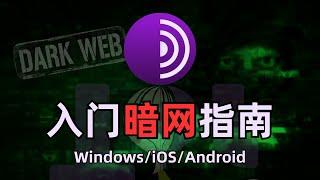 【黑暗网络】最详细进入暗网方法大全，互联网中的罪恶都市，什么是暗网？暗网有多恐怖？Tor网络和黑暗网站的区别|dark web，windows/mac/linux/ios/android进入洋葱网络