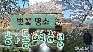 [국내여행] VLOG 하동여행 | 하동십리벚꽃길 |  | BBQ | 하동짚와이어 | 두번째벚꽃펜션