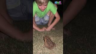  WATCH OUT! Giant toad prank scares cameraman dad