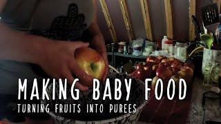 Let's Make Baby Food - Turning fruits into purees