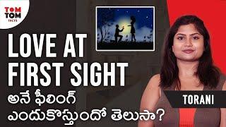 Facts About Love At First Sight By Torani || TomTom Facts