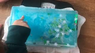 Young Scientist Explains How she Made Her Ice Sculpture