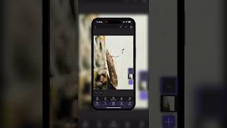 How to Merge Two Photos on iPhone (the EASY WAY)