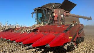 Big Push To Finish Corn Harvest.