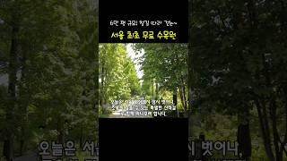 1시간 산책에 철길, 꽃길, 저수지까지! 서울 숨은 자연 코스 총정리 #서울자연 #산책명소 #항동코스 #푸른수목원 #서울풍경 #국내여행지추천