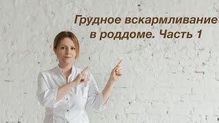 Грудное вскармливание в роддоме. Часть 1. Татьяна Лебеда