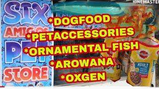 MURANG PETSHOP DITO SA LAS PIÑAS ANG SIX AMIGOS PETSHOP BUDGETMEAL #ornamentalfish #goldfish#arowana