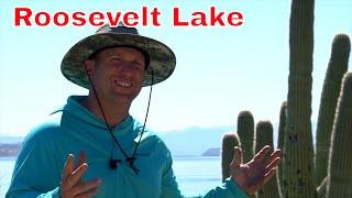 Roosevelt Lake - Payson Arizona Real Estate