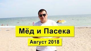 Состояние цены на мёд   Состояние пасеки  Август 2018