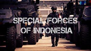 Pasukan Khusus Indonesia - Special Forces of Indonesia - Koopsusgab