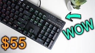 The Best Budget Mechanical Gaming Keyboard Ever!