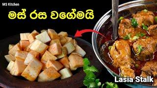 කොහිලද ඉව්වෙ හිතාගන්න බැරි රසක් | Kohila Ala | Lasia Stalk Curry | @mskitchen3708