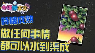 時機成熟-做任何事情都可以水到渠成《命理話家常#52 下集》