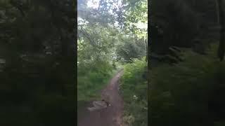 when you play hide and seek with a rock on a enduro trail  #shorts