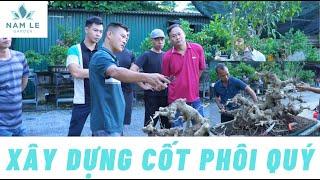 Xây dựng các bước đầu để đạt được một cây quý cho em Bonsai Lễ | NamLe Bonsai