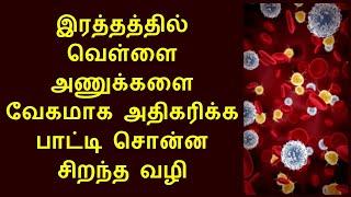 இரத்த வெள்ளை அணுக்கள் அதிகரிக்க | Increase white blood cells in tamil