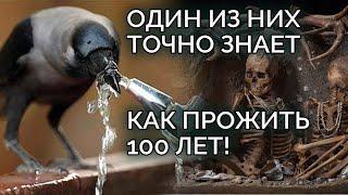 Как правильно пить воду и жить долго! Прописные истины. (Вода SOS 2020)