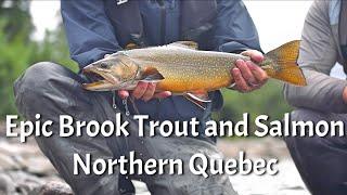 Epic Brook Trout and Atlantic Salmon