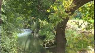 CHANIA - CRETE -   Nature