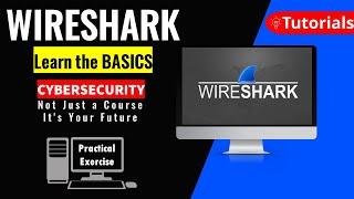 Mastering Wireshark Fundamentals: A Complete Video Guide for Newbies